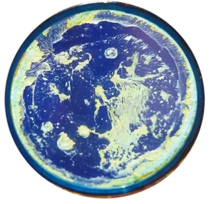 Eau Structurée, Eau dynamisée