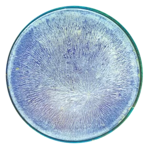 Eau Structurée, Eau dynamisée